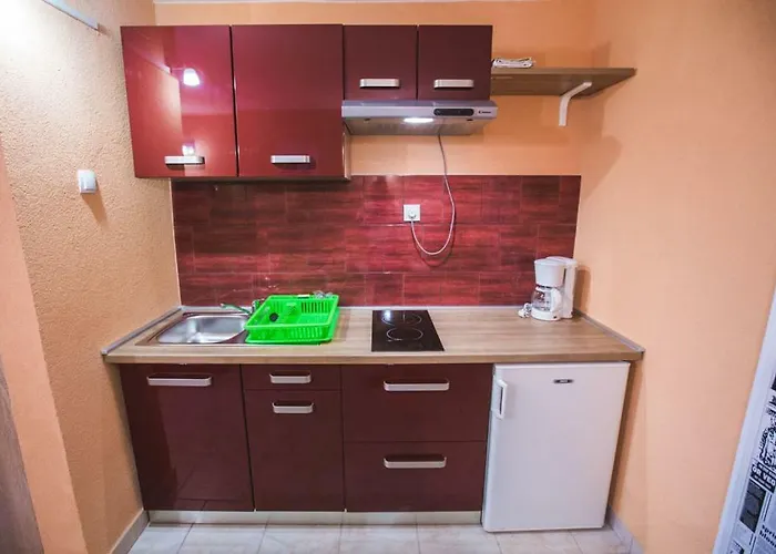 Sanic 518 Apartament *