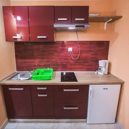 Sanic 518 Apartament *